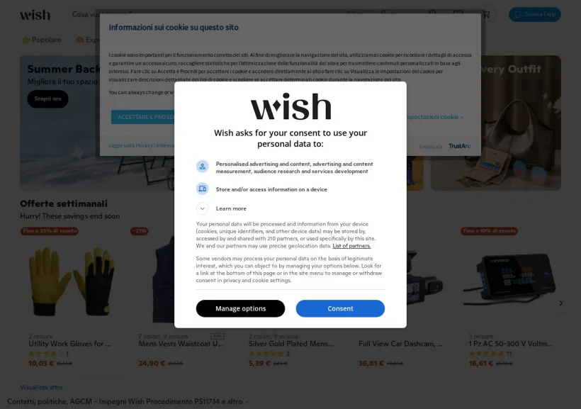 Schermata della pagina offerta di Wish