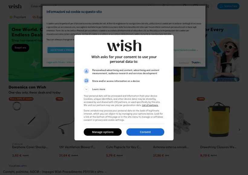 Schermata della pagina offerta di Wish