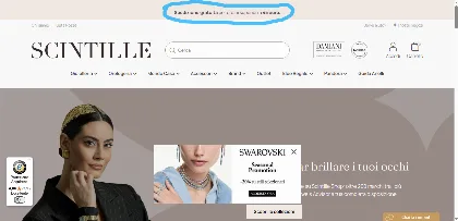 Costi di spedizione