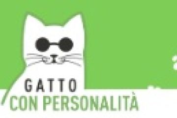 Gatto con Personalità