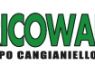 Bricoware