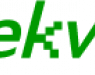 Geekvida
